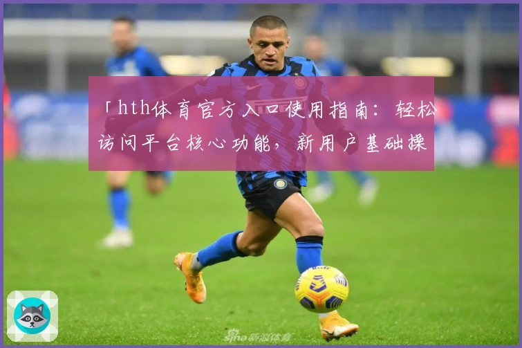「hth体育官方入口使用指南：轻松访问平台核心功能，新用户基础操作解析」